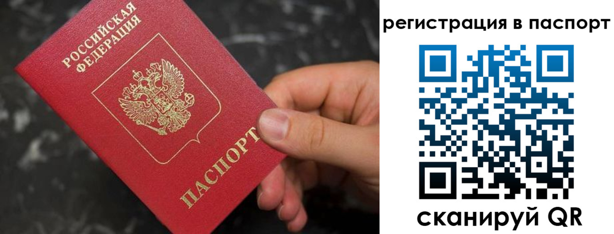 прописка регистрация в Сафоново
