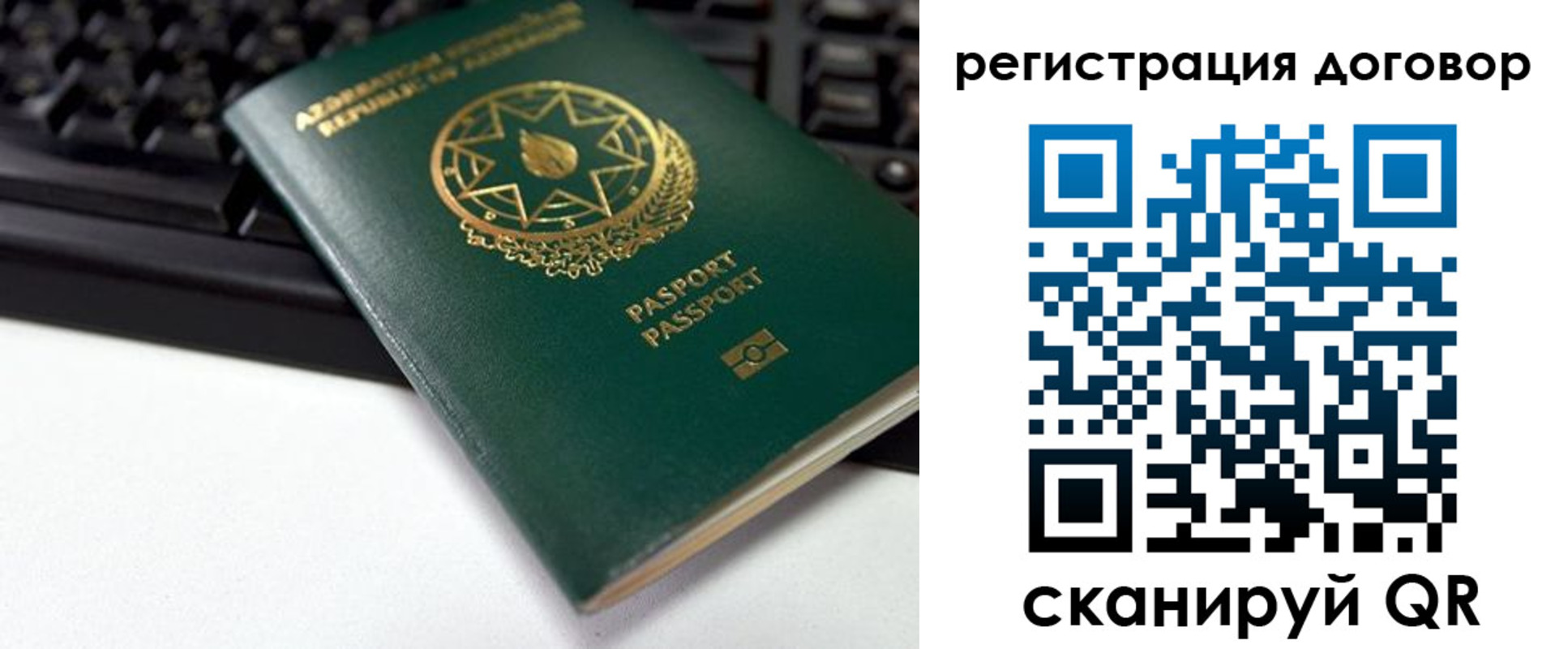 прописка поиск в Сафоново